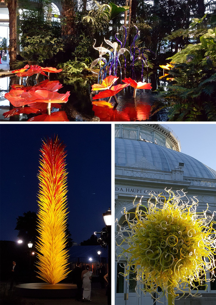 chihuly_all_small2